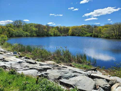 A serene lake surrounded by lush greenery and trees under a bright blue sky with fluffy white clouds.