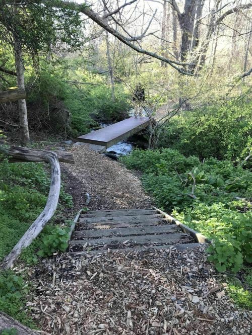 A wooden path leads to a small bridge over a stream, surrounded by lush greenery and trees.