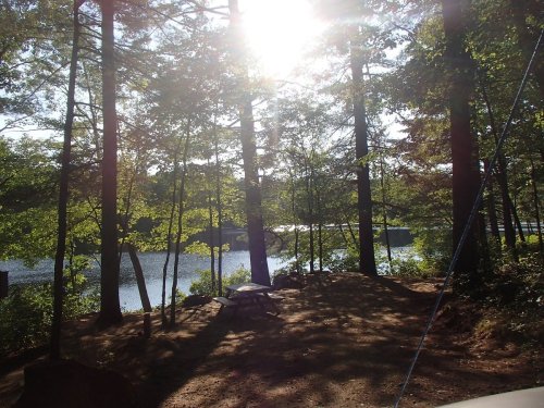 Sunlight filters through trees by a serene lake, casting dappled shadows on the ground in a peaceful natural setting.