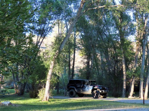 A black off-road vehicle parked in a wooded area with tall trees and green grass.