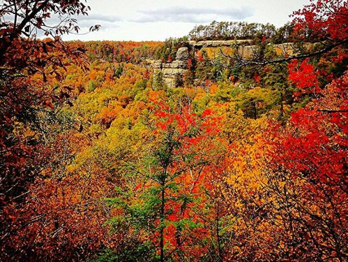 A vibrant autumn landscape with colorful trees and a rocky cliff in the background under a cloudy sky.