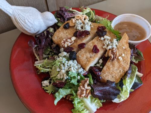 A colorful salad with sliced chicken, walnuts, cranberries, blue cheese, and a dressing on a red plate, with a decorative bird.