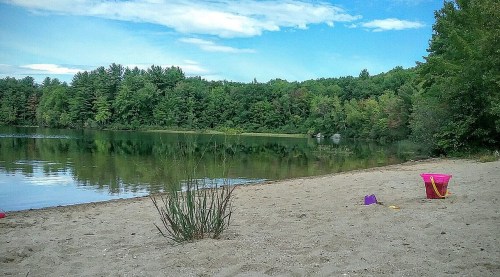 A serene beach scene with a sandy shore, calm water, and lush green trees in the background under a blue sky.