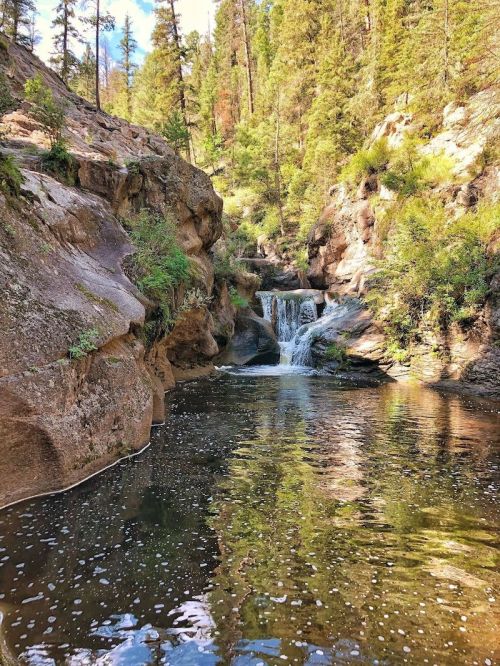 A serene waterfall cascades into a calm pool, surrounded by lush greenery and rocky cliffs in a forested area.