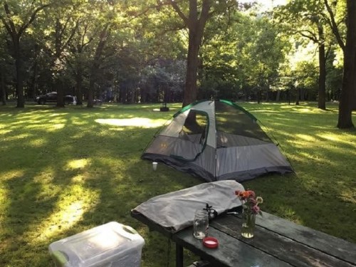 A tent set up on a grassy area surrounded by trees, with a picnic table and flowers nearby.