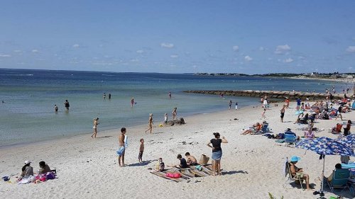 A sunny beach scene with people sunbathing, swimming, and playing in the sand, with a clear blue sky and ocean.