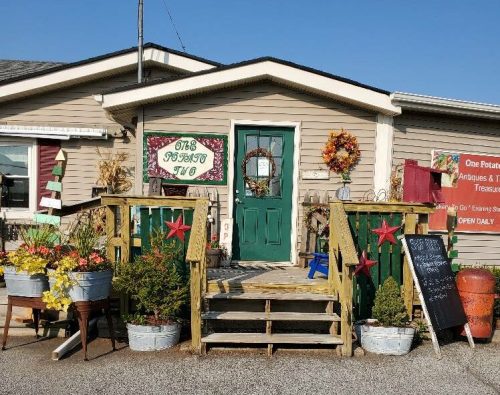 A charming shop entrance with a green door, wooden steps, and colorful potted plants, set against a clear blue sky.