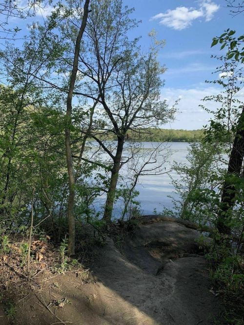 A serene view of a river surrounded by trees and greenery under a clear blue sky.