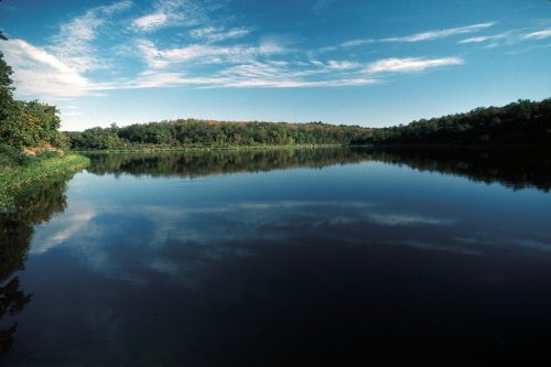 A serene lake reflecting a clear blue sky and lush green trees along the shore.