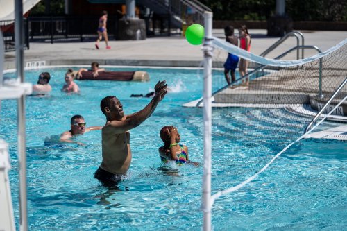 A man and a child play in a pool, reaching for a green ball near a net, with others swimming in the background.
