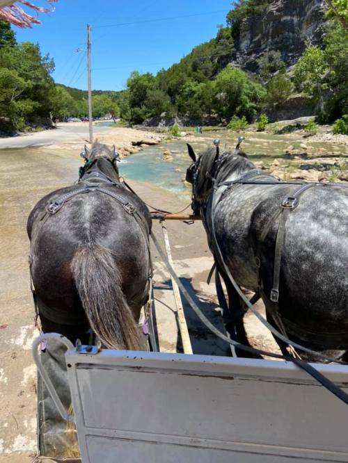 Two horses pull a cart along a riverbank, surrounded by lush greenery and rocky cliffs under a clear blue sky.