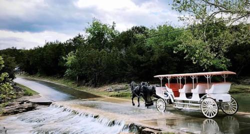 A horse-drawn carriage parked beside a small waterfall on a scenic road surrounded by greenery.