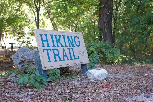 A wooden sign reading "Hiking Trail" surrounded by trees and fallen leaves.