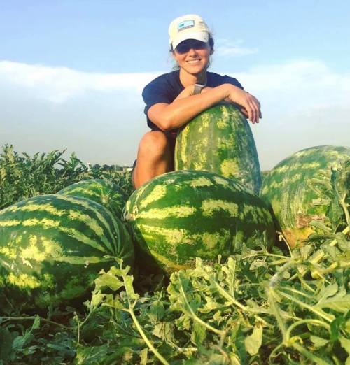 A smiling person in a cap sits among large watermelons in a sunny field.