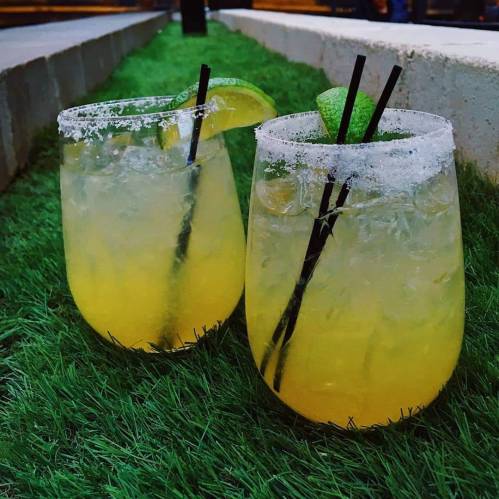 Two refreshing cocktails with lime slices and salt rims, served in clear glasses on a grassy surface.