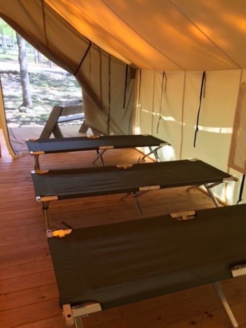 Interior of a tent with three folding cots set up on a wooden floor, surrounded by natural light.