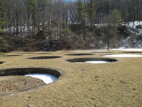 A grassy area with circular depressions, surrounded by trees and patches of snow on the ground.