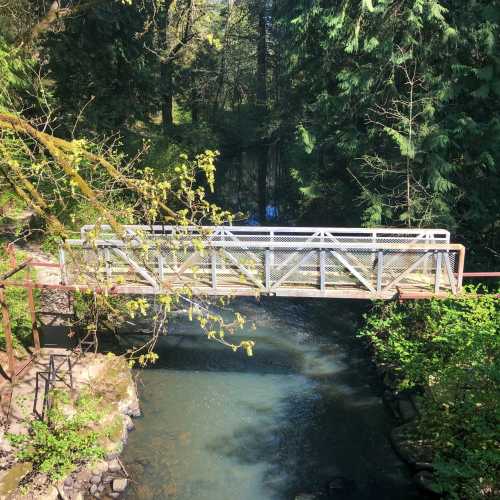 A metal bridge spans a calm stream, surrounded by lush green trees and foliage.