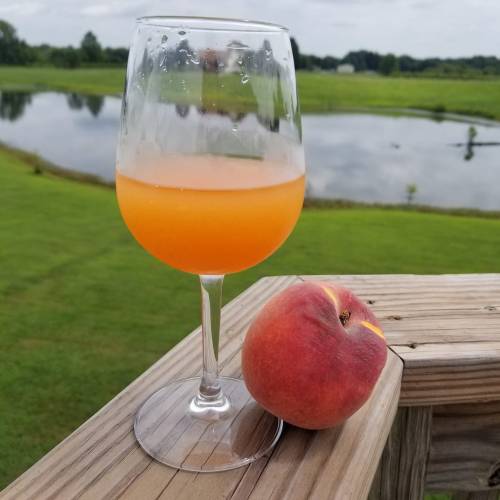 A glass of orange drink sits on a wooden railing next to a fresh peach, with a scenic pond and green landscape in the background.