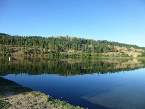 A serene lake surrounded by lush green trees and a clear blue sky, reflecting the landscape in calm waters.