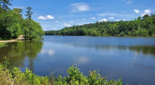 A serene lake surrounded by lush green trees under a bright blue sky with fluffy clouds.