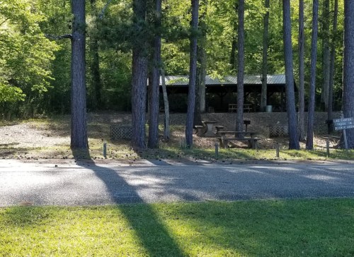 A shaded picnic area with a shelter and tables, surrounded by tall trees and a grassy field.