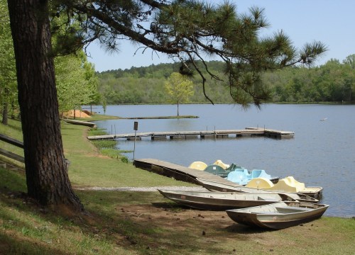 A serene lake scene with colorful paddle boats lined up on the shore, surrounded by trees and a calm water surface.