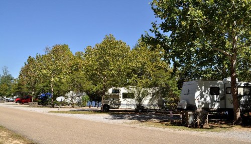 A row of RVs parked along a tree-lined road near a body of water on a clear, sunny day.
