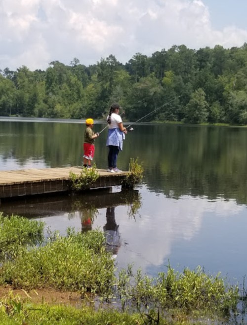 A child and an adult fishing from a wooden dock by a calm lake surrounded by trees on a sunny day.