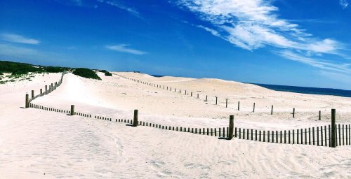 A sandy beach with dunes and wooden fencing under a bright blue sky with scattered clouds.