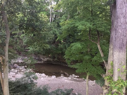A serene forest scene featuring a rocky riverbank surrounded by lush green trees.