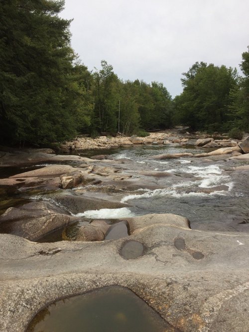 A serene river flows over smooth rocks, surrounded by lush green trees under a cloudy sky.