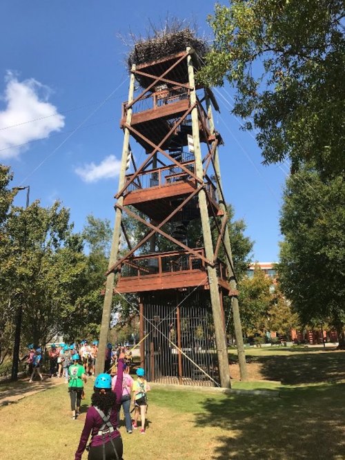 A tall wooden observation tower with a large nest on top, surrounded by trees and people walking nearby.