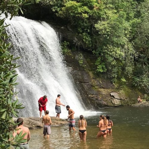 A group of people enjoying a sunny day by a waterfall, swimming and relaxing in the water surrounded by lush greenery.