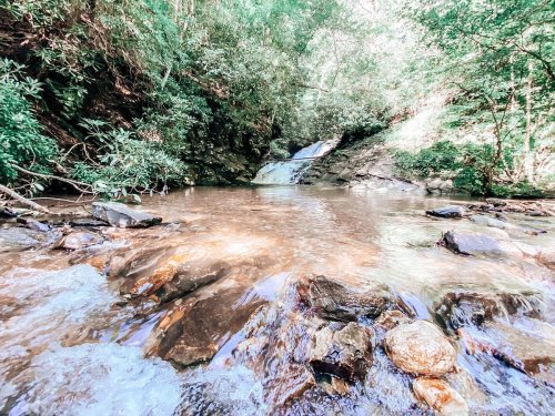 A serene forest scene featuring a small waterfall cascading into a calm, rocky pool surrounded by lush greenery.