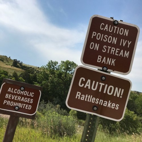 Two warning signs: one about poison ivy on a stream bank and another cautioning about rattlesnakes. Alcohol prohibited.
