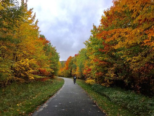 A cyclist rides along a winding path surrounded by vibrant autumn foliage in shades of orange, yellow, and green.