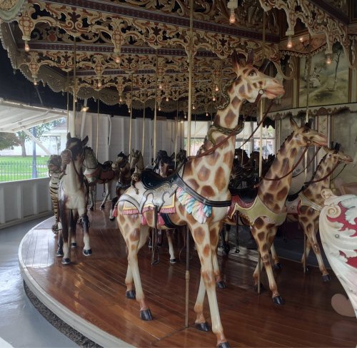 A carousel featuring intricately designed giraffe and zebra figures on a wooden platform.