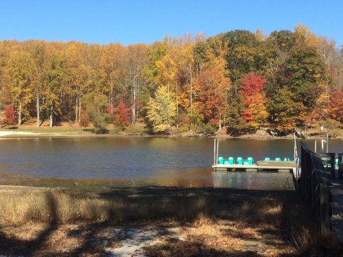 A serene lake surrounded by vibrant autumn trees, with a dock featuring teal chairs under a clear blue sky.