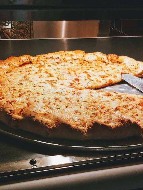 A close-up of a freshly baked cheese pizza with a golden crust, partially sliced and displayed in a pizza oven.