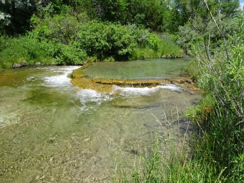 A serene stream flows over a rocky ledge, surrounded by lush greenery and vibrant vegetation.