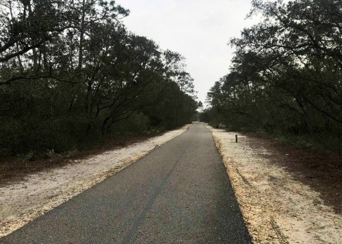 A narrow, paved road surrounded by trees and sandy areas, leading into a distant, overcast horizon.