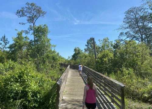Two people walk along a wooden boardwalk through lush greenery under a clear blue sky.