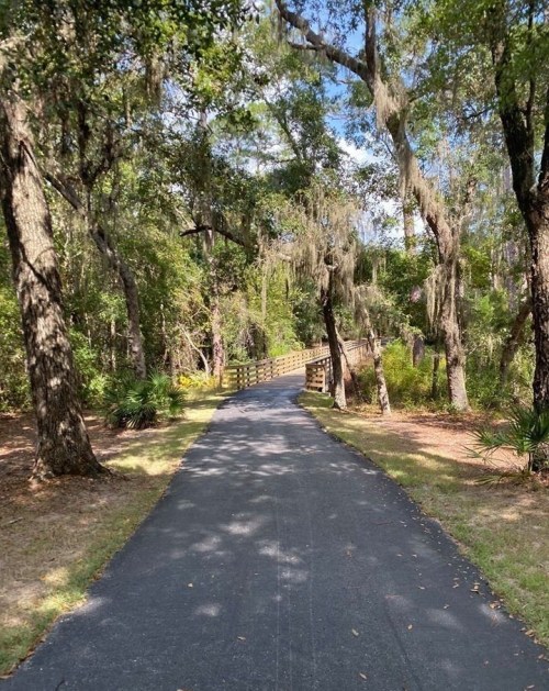 A paved path through a lush, green forest, leading to a wooden bridge in the distance.