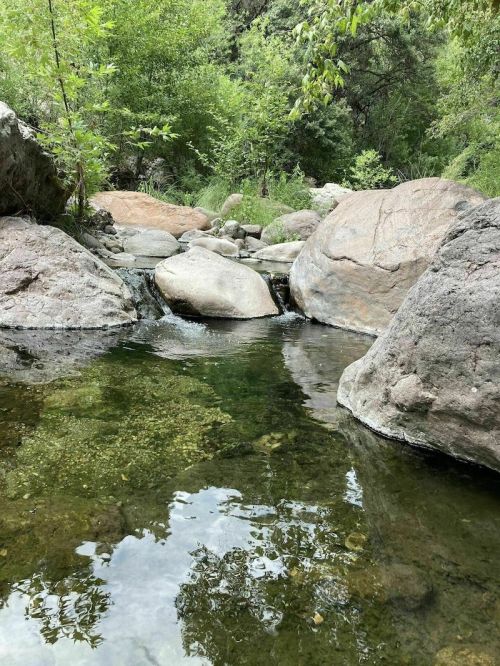 A serene stream flows over smooth rocks, surrounded by lush greenery and reflected in the clear water.
