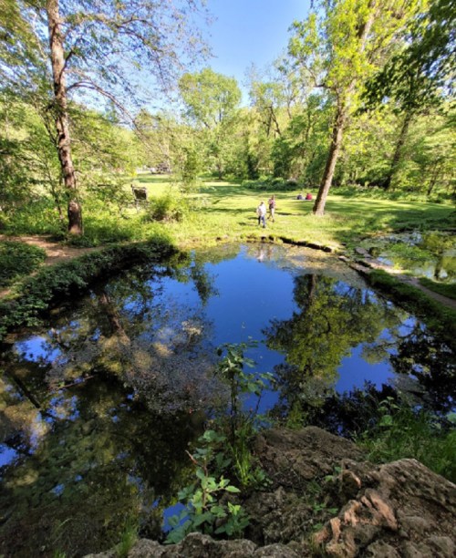 A serene pond surrounded by lush greenery and trees, with people walking in the background on a sunny day.
