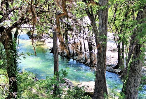A serene river flows through a lush forest, surrounded by tall trees and vibrant greenery.