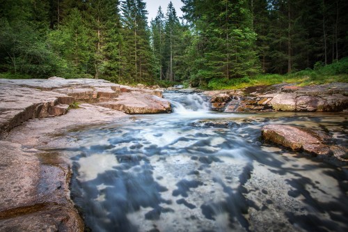 A serene river flows over rocky terrain, surrounded by lush green trees in a tranquil forest setting.