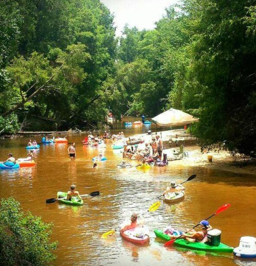 A lively river scene with people kayaking and floating on inflatables among lush green trees.