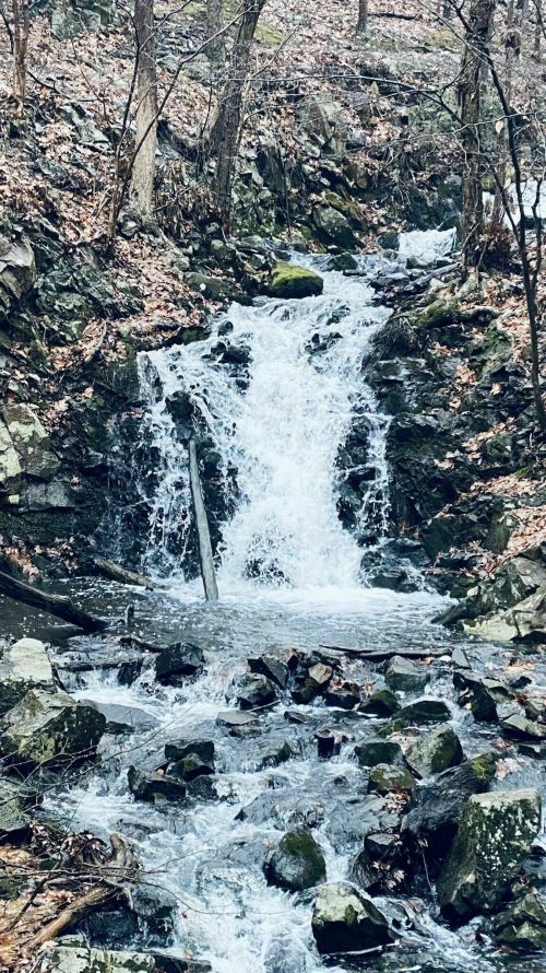 A small waterfall cascades over rocky terrain, surrounded by trees and fallen leaves in a serene forest setting.